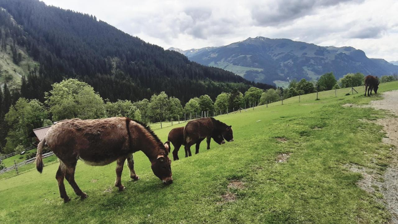Privatzimmervermietung Foidlbauer Oberndorf in Tirol Eksteriør bilde